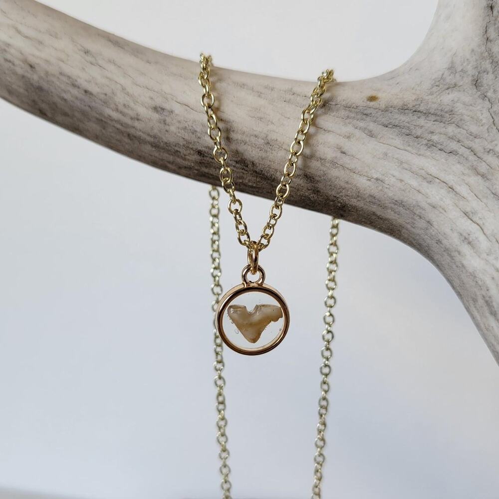 Handmade Coyote Tooth Pendant on 18" Gold Tone Chain